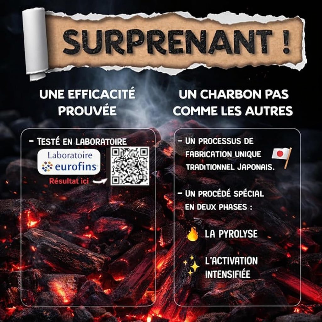 Binchotan x3 Baytiz, charbon actif pour filtrer l'eau