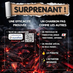 Binchotan x3 Baytiz, charbon actif pour filtrer l'eau