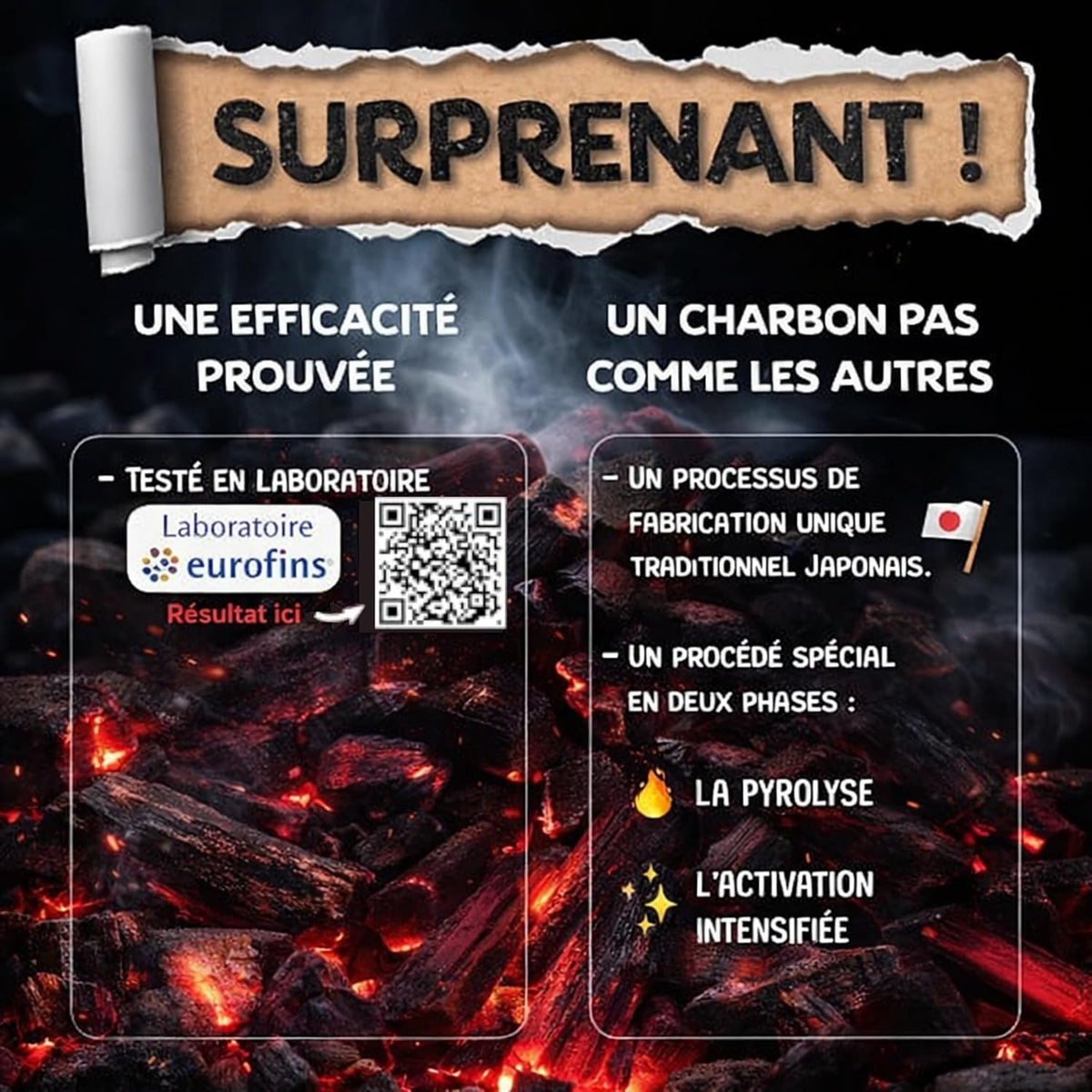Binchotan x3 Baytiz, charbon actif pour filtrer l'eau